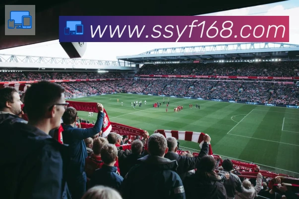 爱游戏ayx官网服务体系